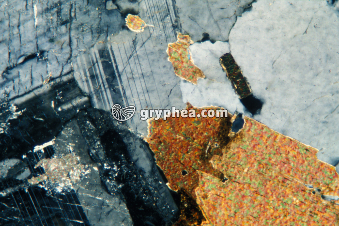 Granite LPA x25 - gryphea.com